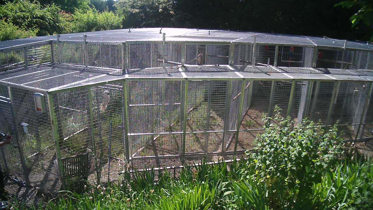 Volière-B
