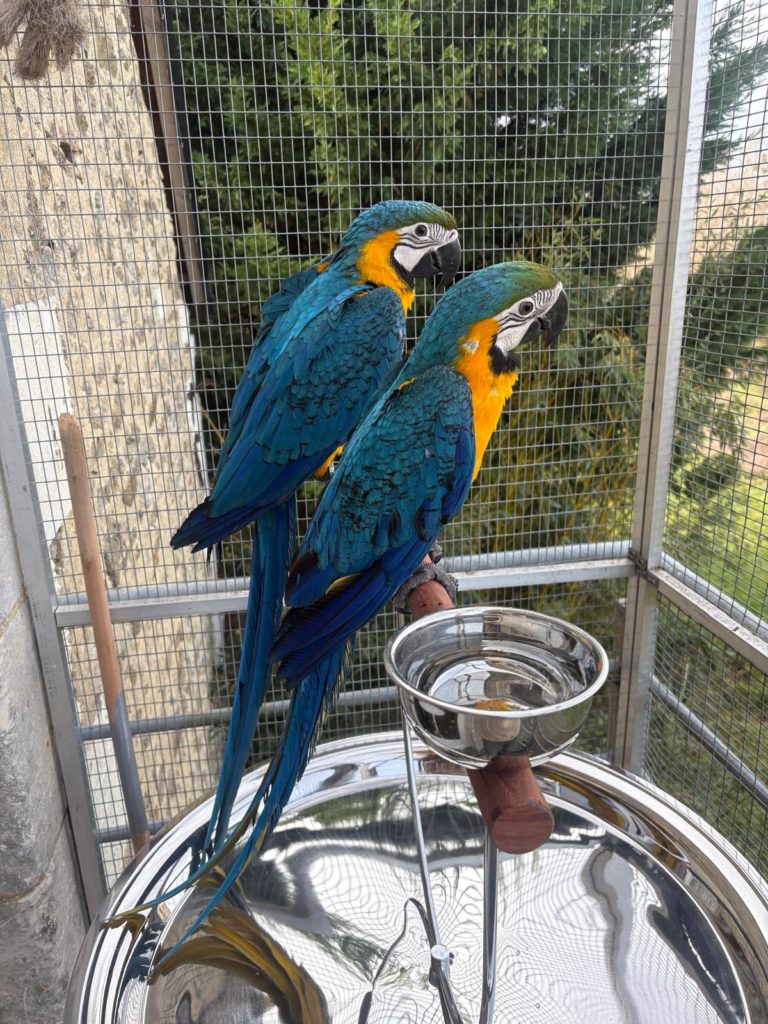 55362d2d-7ad0-406c-a303-677de6ff43a0